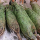 Illustration for article titled How to Recycle Your Christmas Tree